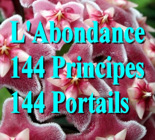 Incarner les 144 Principes de l'Abondance