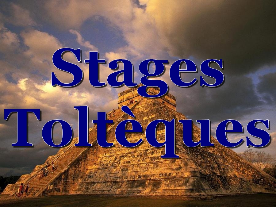Enseignements du Nagual Tolt�que