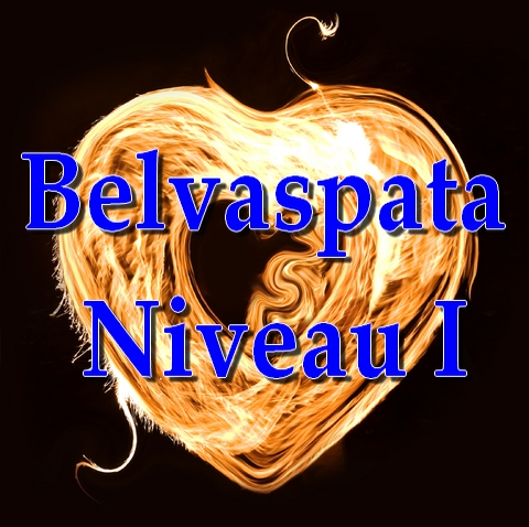Initiation Belvaspata Niveau I