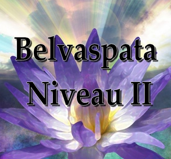 Initiation Belvaspata Niveau II