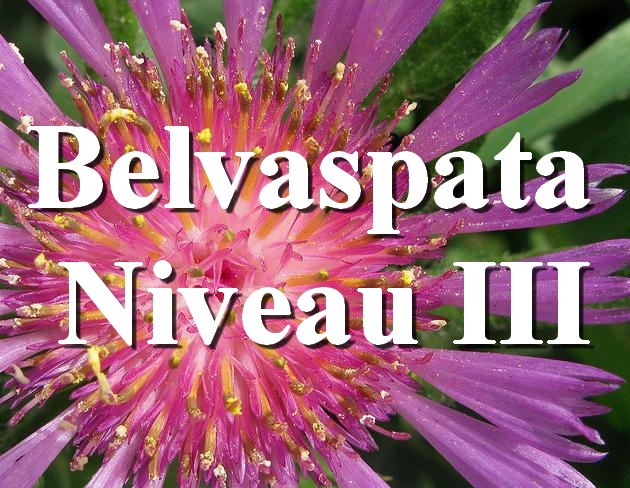 Initiation Belvaspata Niveau III