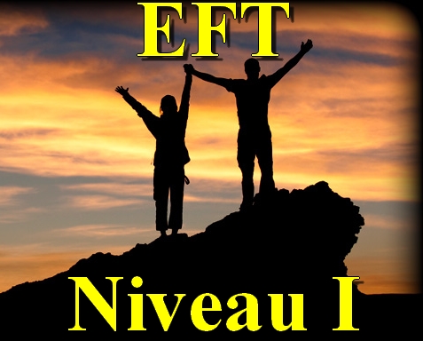 S�minaire EFT Niveau I