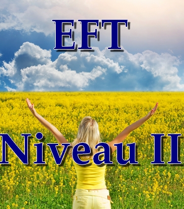 S�minaire d'EFT Niveau II